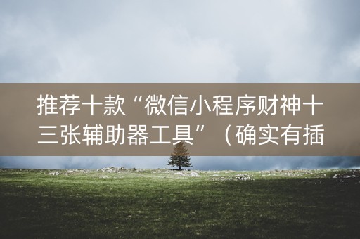 推荐十款“微信小程序财神十三张辅助器工具”（确实有插件吗)