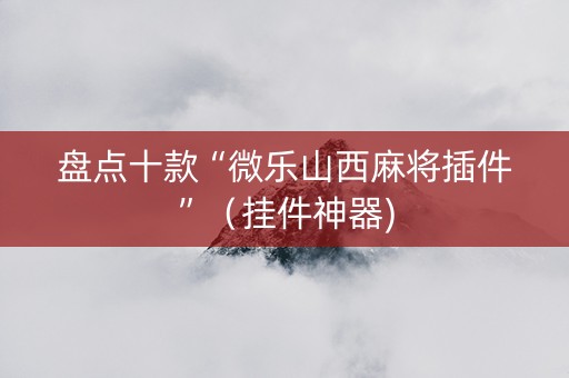 盘点十款“微乐山西麻将插件”（挂件神器)