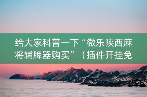 给大家科普一下“微乐陕西麻将辅牌器购买”（插件开挂免费AI)