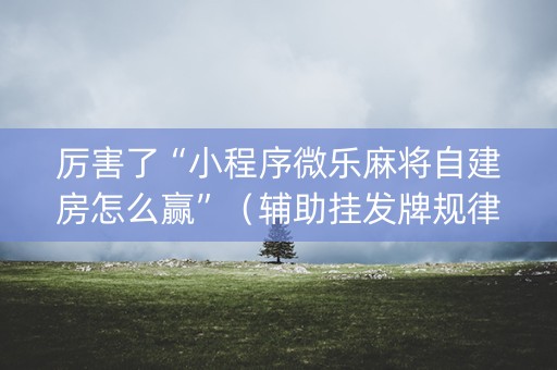 厉害了“小程序微乐麻将自建房怎么赢”（辅助挂发牌规律)