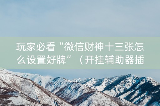 玩家必看“微信财神十三张怎么设置好牌”（开挂辅助器插件)