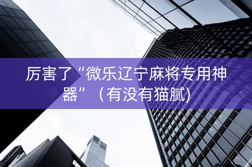 厉害了“微乐辽宁麻将专用神器”（有没有猫腻)