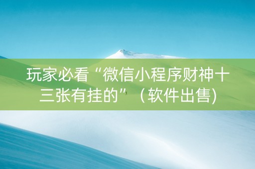 玩家必看“微信小程序财神十三张有挂的”（软件出售)