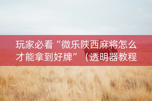 玩家必看“微乐陕西麻将怎么才能拿到好牌”（透明器教程)