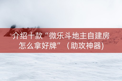 介绍十款“微乐斗地主自建房怎么拿好牌”（助攻神器)