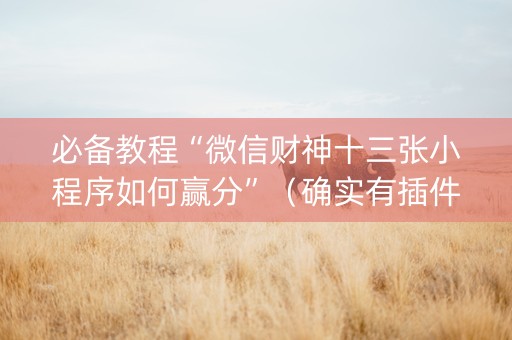 必备教程“微信财神十三张小程序如何赢分”（确实有插件吗)