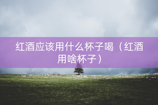 红酒应该用什么杯子喝（红酒用啥杯子）