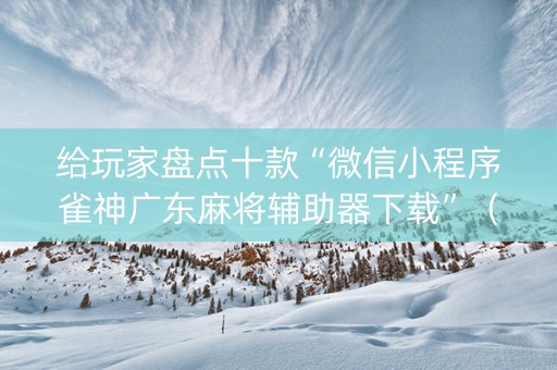 给玩家盘点十款“微信小程序雀神广东麻将辅助器下载”（输赢有什么规律)