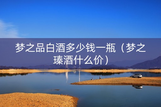 梦之品白酒多少钱一瓶（梦之瑧酒什么价）