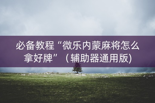 必备教程“微乐内蒙麻将怎么拿好牌”（辅助器通用版)