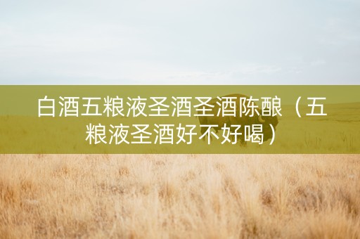 白酒五粮液圣酒圣酒陈酿（五粮液圣酒好不好喝）