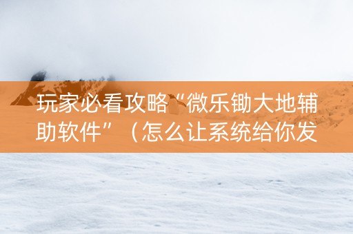玩家必看攻略“微乐锄大地辅助软件”（怎么让系统给你发好牌)