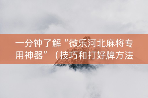 一分钟了解“微乐河北麻将专用神器”（技巧和打好牌方法)