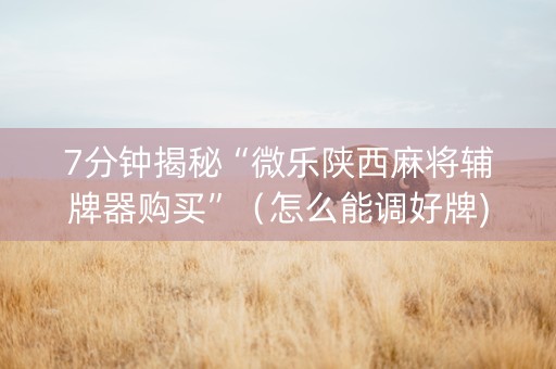 7分钟揭秘“微乐陕西麻将辅牌器购买”（怎么能调好牌)