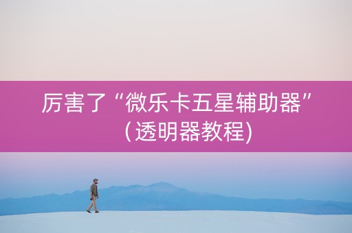 厉害了“微乐卡五星辅助器”（透明器教程)