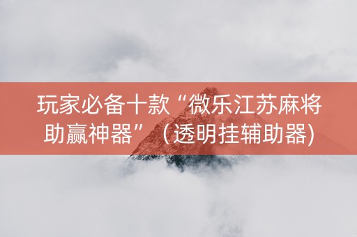 玩家必备十款“微乐江苏麻将助赢神器”（透明挂辅助器)