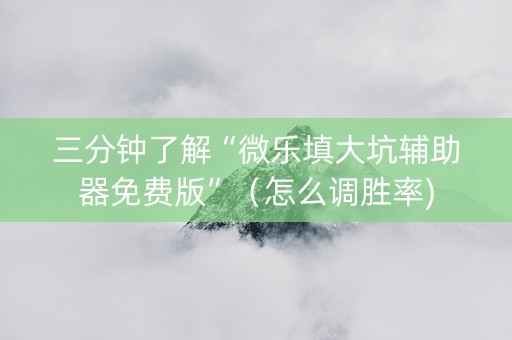 三分钟了解“微乐填大坑辅助器免费版”（怎么调胜率)