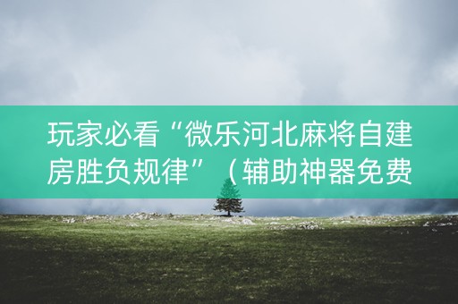 玩家必看“微乐河北麻将自建房胜负规律”（辅助神器免费)