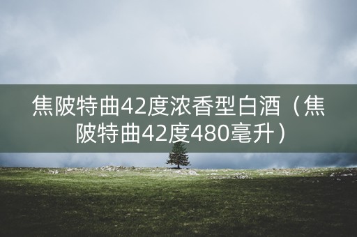 焦陂特曲42度浓香型白酒（焦陂特曲42度480毫升）