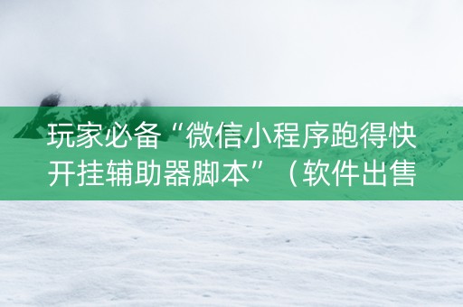 玩家必备“微信小程序跑得快开挂辅助器脚本”（软件出售)