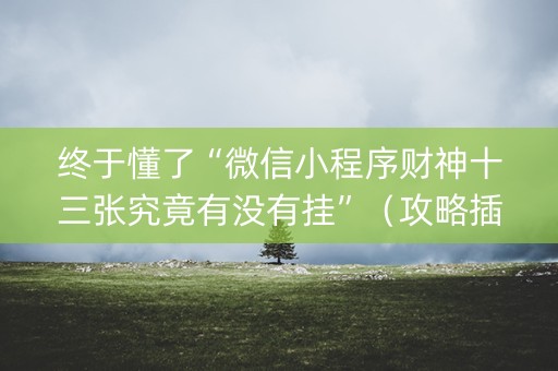 终于懂了“微信小程序财神十三张究竟有没有挂”（攻略插件)