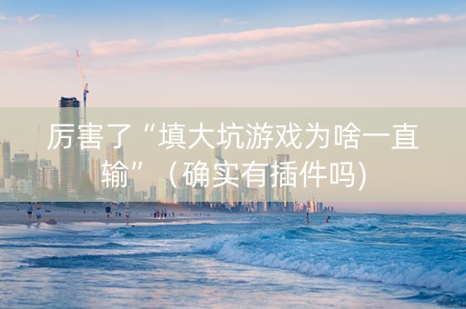 厉害了“填大坑游戏为啥一直输”（确实有插件吗)