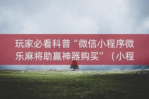 玩家必看科普“微信小程序微乐麻将助赢神器购买”（小程序辅助软件)
