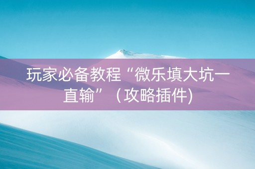 玩家必备教程“微乐填大坑一直输”（攻略插件)