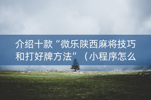 介绍十款“微乐陕西麻将技巧和打好牌方法”（小程序怎么才会赢)