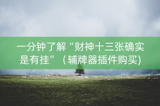 一分钟了解“财神十三张确实是有挂”（辅牌器插件购买)