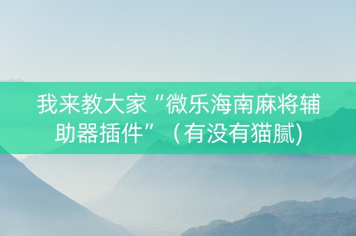 我来教大家“微乐海南麻将辅助器插件”（有没有猫腻)