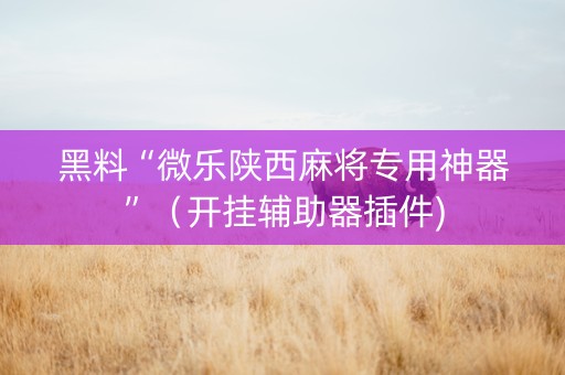 黑料“微乐陕西麻将专用神器”（开挂辅助器插件)