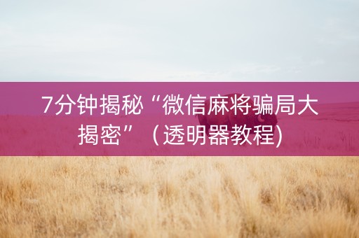 7分钟揭秘“微信麻将骗局大揭密”（透明器教程)