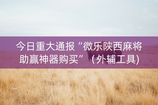 今日重大通报“微乐陕西麻将助赢神器购买”（外辅工具)