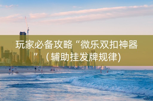 玩家必备攻略“微乐双扣神器”（辅助挂发牌规律)