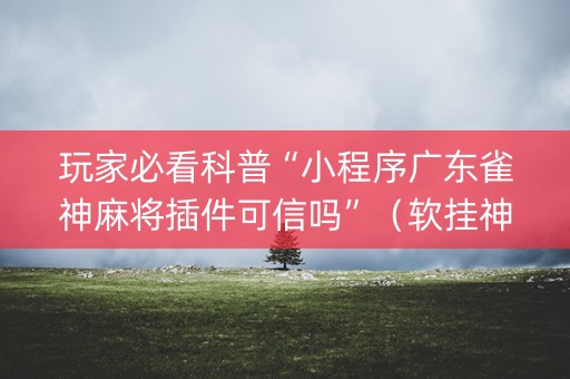 玩家必看科普“小程序广东雀神麻将插件可信吗”（软挂神器)