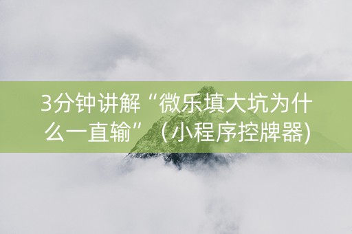 3分钟讲解“微乐填大坑为什么一直输”（小程序控牌器)