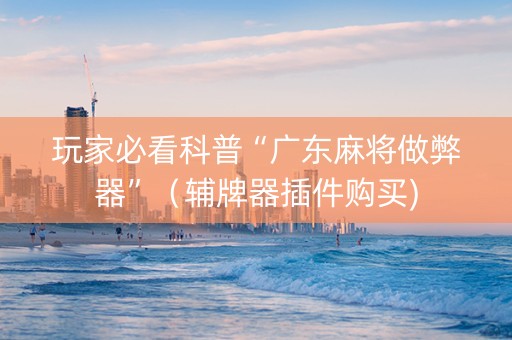 玩家必看科普“广东麻将做弊器”（辅牌器插件购买)
