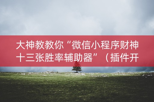 大神教教你“微信小程序财神十三张胜率辅助器”（插件开挂免费AI)