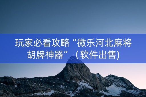 玩家必看攻略“微乐河北麻将胡牌神器”（软件出售)