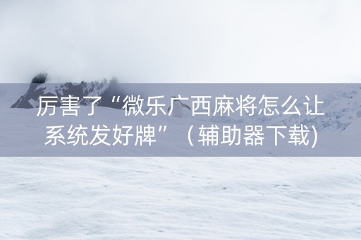 厉害了“微乐广西麻将怎么让系统发好牌”（辅助器下载)