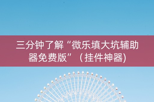 三分钟了解“微乐填大坑辅助器免费版”（挂件神器)