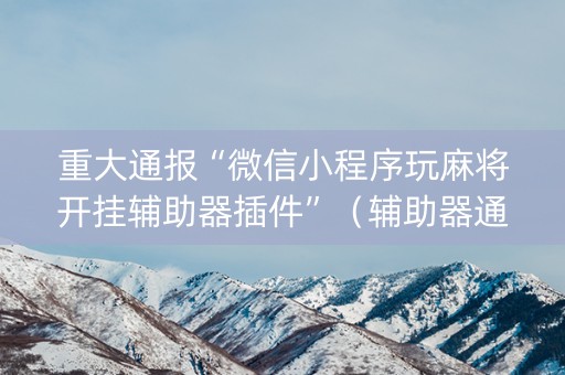 重大通报“微信小程序玩麻将开挂辅助器插件”（辅助器通用版)