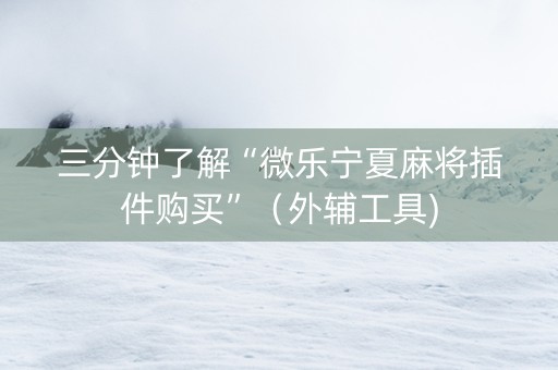 三分钟了解“微乐宁夏麻将插件购买”（外辅工具)