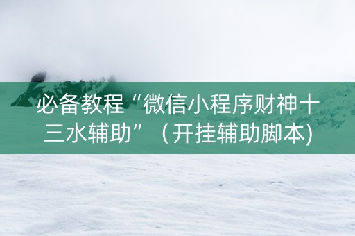 必备教程“微信小程序财神十三水辅助”（开挂辅助脚本)