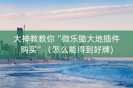 大神教教你“微乐锄大地插件购买”（怎么能得到好牌)