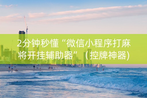 2分钟秒懂“微信小程序打麻将开挂辅助器”（控牌神器)