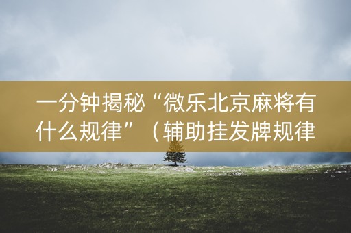 一分钟揭秘“微乐北京麻将有什么规律”（辅助挂发牌规律)