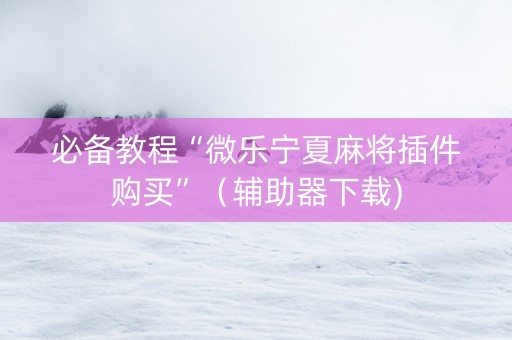 必备教程“微乐宁夏麻将插件购买”（辅助器下载)