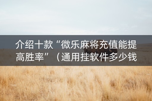 介绍十款“微乐麻将充值能提高胜率”（通用挂软件多少钱)